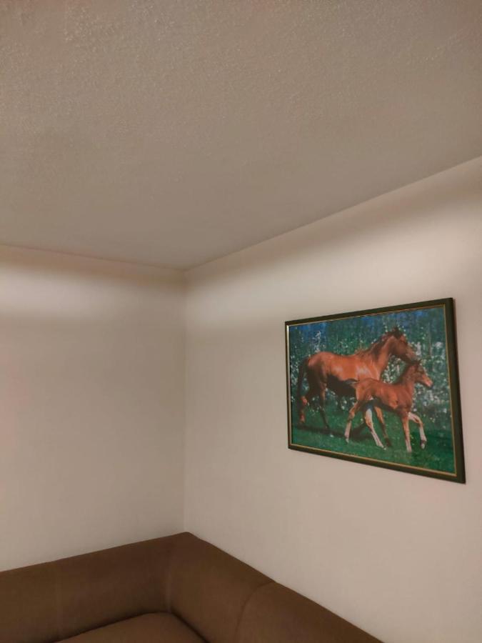 Apartament 6 Osobowy 斯克拉斯卡波伦巴 外观 照片